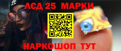 прущие грибы Заводоуковск