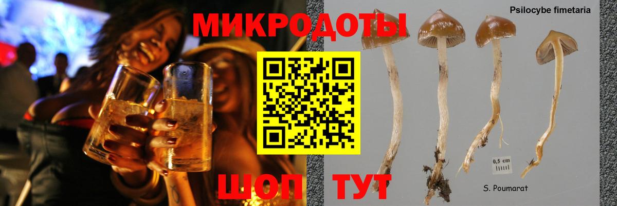 Псилоцибиновые грибы мухоморы Михайловка
